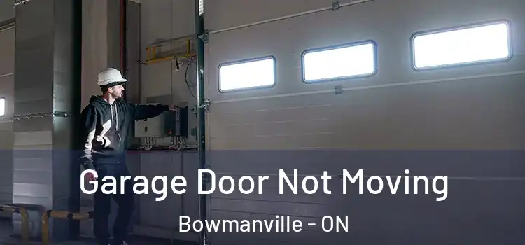  Garage Door Not Moving Bowmanville - ON